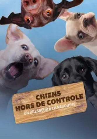 Chiens hors de contrôle : Un dresseur à la rescousse-poster-2019-1767811899