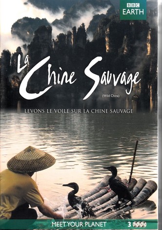 Chine sauvage-poster-2008-1768381511