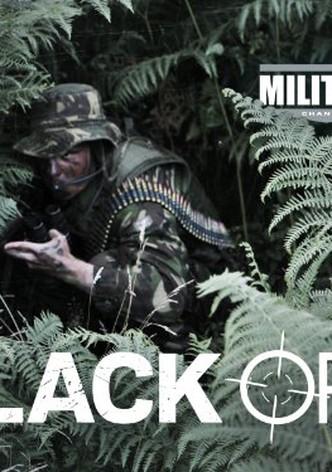 Commandos Clandestins-poster-2012-1768382229