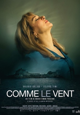 Comme le vent-poster-2013-1768814978