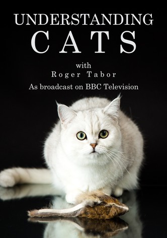 Comprendre les chats-poster-1995-1767930823