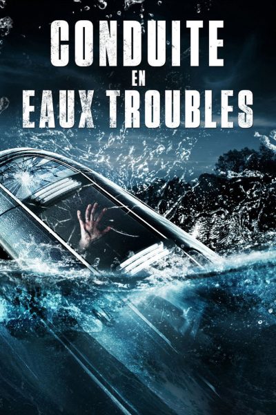 Conduite en eaux troubles-poster-2016-1768925225