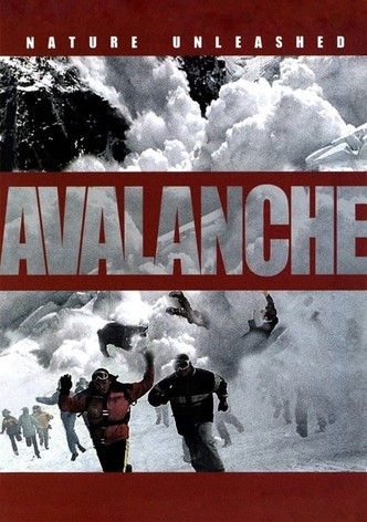 Danger Avalanche-poster-2004-1768691301