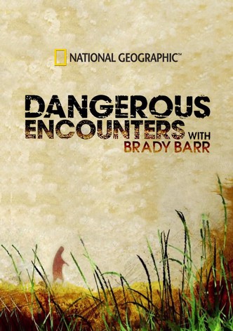 Dangerous Encounters-poster-2005-1768380557