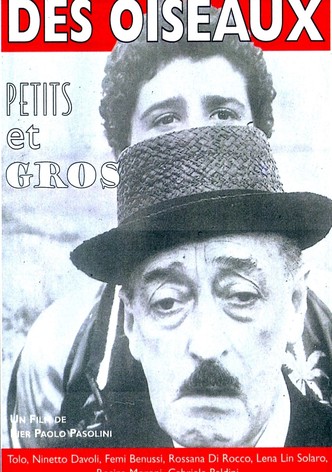 Des oiseaux, petits et gros-poster-1966-1768556826