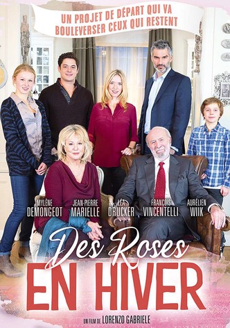 Des roses en hiver-poster-2014-1768817466