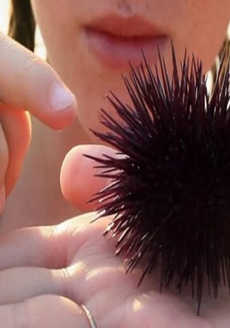 Doux amer-poster-2011-1768759209