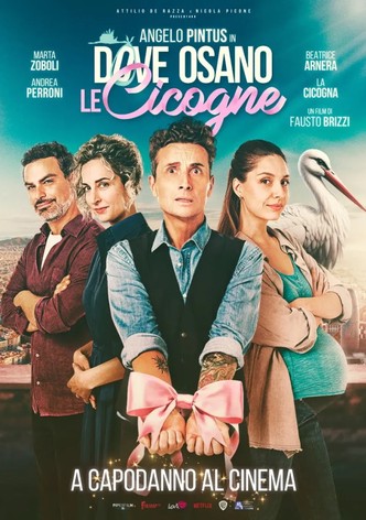 Dove osano le cicogne-poster-2025-1769082258