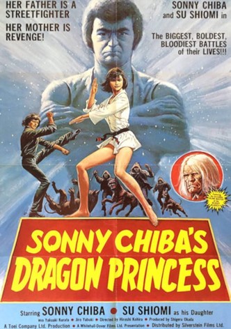 Dragon Princess-poster-1976-1768610171