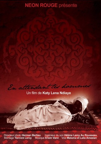 En attendant les hommes-poster-2007-1768729813