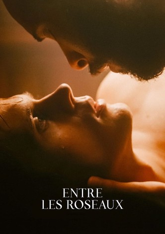 Entre les roseaux-poster-2018-1768931789