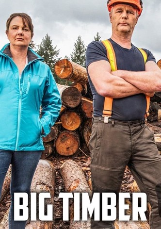 Envoyez du bois!-poster-2020-1767878004