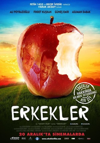 Erkekler-poster-2013-1768816020
