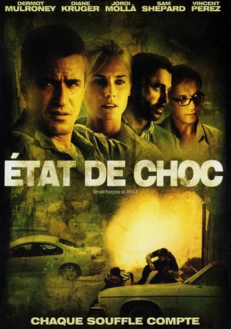 État de choc-poster-2010-1768735334