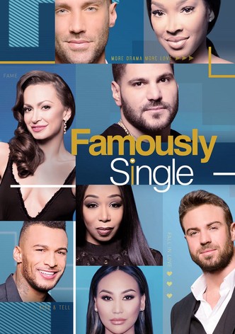 FAMOUSLY SINGLE-poster-2016-1768398713