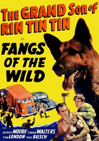 Fangs of the Wild-poster-1939-1768549063