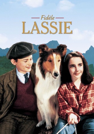 Fidèle Lassie-poster-1943-1768549844