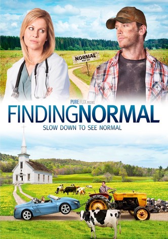 Finding Normal-poster-2013-1768815926