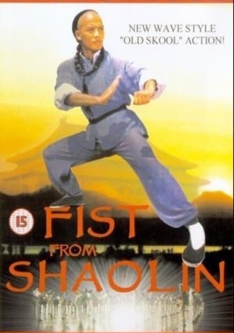 Fist from Shaolin-poster-1993-1768653772