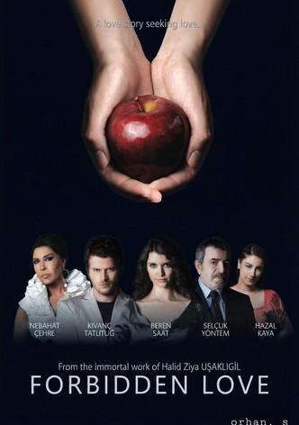 Forbidden Love-poster-2008-1768381664