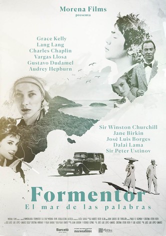 Formentor, el mar de las palabras-poster-2020-1767877758