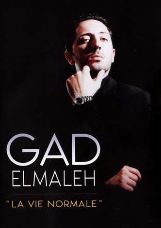 Gad Elmaleh – La Vie normale-poster-2001-1768664111