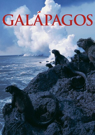 Galápagos-poster-2006-1768380762
