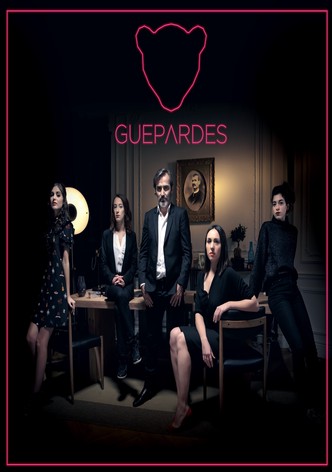 Guépardes-poster-2018-1768456793