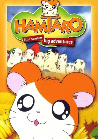 Hamtaro – P&rsquo;tits hamsters, grandes aventures-poster-2000-1767862218