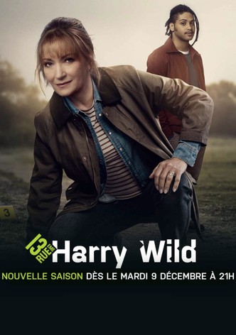 Harry Wild-poster-2022-1767881889