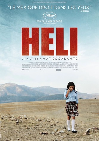 Heli-poster-2013-1768814077