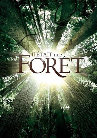 Il était une forêt-poster-2013-1768815508