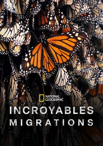 Incroyables migrations-poster-2023-1768474003