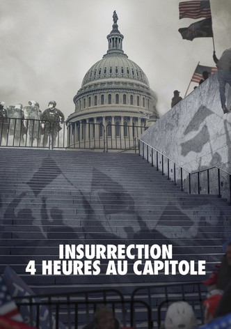 Insurrection : 4 heures au Capitole-poster-2021-1768459910