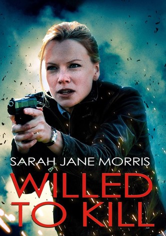 Karyn l&rsquo;obstinée-poster-2013-1768814272