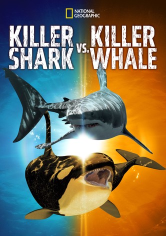Killer Shark vs. Killer Whale-poster-2021-1768460335