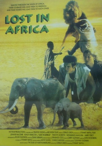 L&rsquo;Ami Africain-poster-1994-1768654668