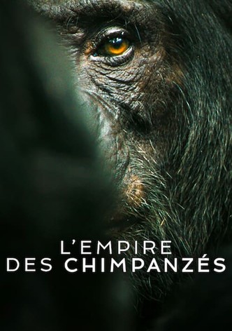 L&rsquo;Empire des chimpanzés-poster-2023-1768473885