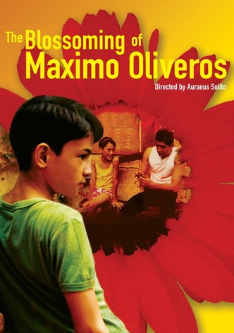 L&rsquo;Eveil de Maximo Oliveros-poster-2005-1768692429