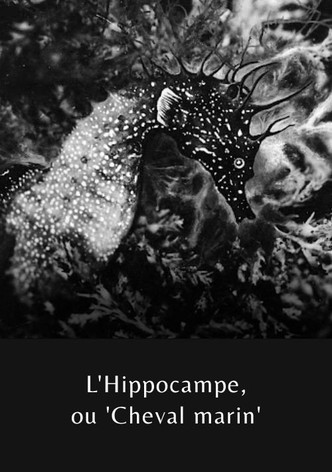 L&rsquo;Hippocampe, ou &lsquo;Cheval marin&rsquo;-poster-1935-1768212744