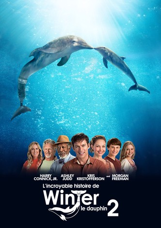 L&rsquo;Incroyable Histoire de Winter le dauphin 2-poster-2014-1768817962