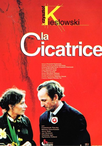 La Cicatrice-poster-1976-1768610237