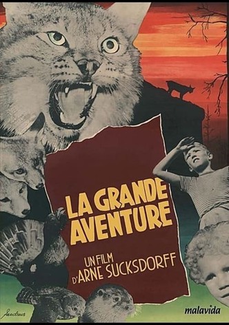 La Grande aventure-poster-1953-1767863301