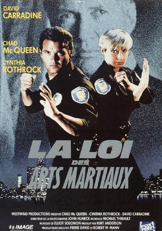 La Loi à mains nues-poster-1990-1768653017