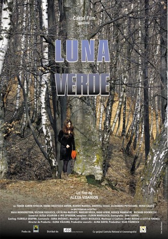 La Lune verte-poster-2010-1768734411