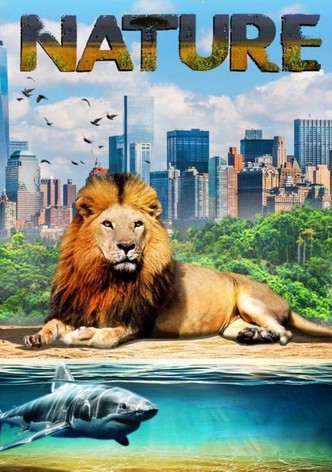 La Nature et nous-poster-2018-1767876788