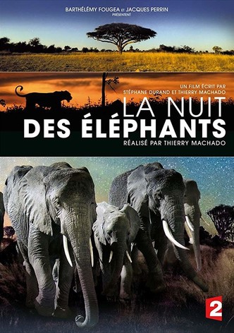 La Nuit des éléphants-poster-2014-1768818993