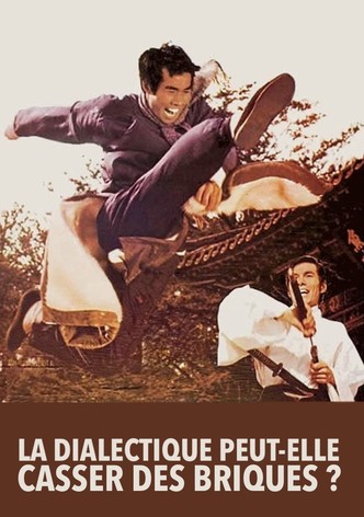 La dialectique peut-elle casser des briques ?-poster-1973-1768605682