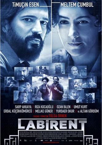 Labirent-poster-2011-1768751085