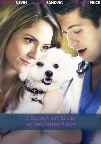 L&rsquo;amour est là où on ne l&rsquo;attend pas-poster-2017-1768849855